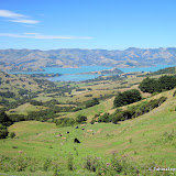 AkaroaTrip AkaroaTrip