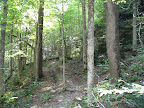 trail 496
