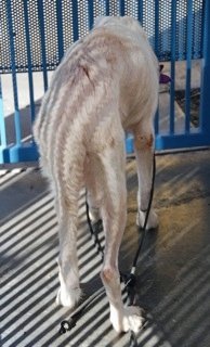 Arrow (before)- She was frightened and frail...