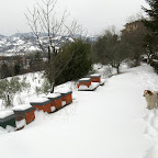 2012-02-04 (3).jpg
