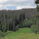 IMG_1169.JPG