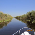 IMG_5704.JPG
