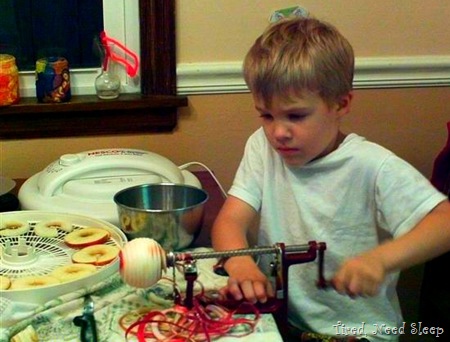 [peeling%2520and%2520dehydrating%2520apples%2520%25283%2529.jpg]