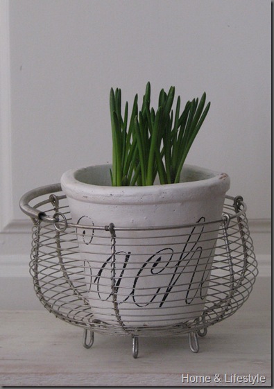 Home & Lifestyle Home & Lifestyle