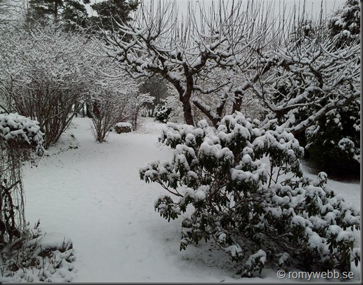 romyschnee2012 (2) romyschnee2012 (2)