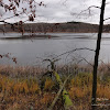 dsc05449.jpg
