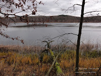 jez. Góreckie