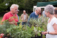 Plant stall Plant stall
