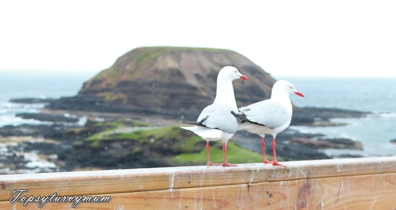 [IMG_3033%255B3%255D.jpg]