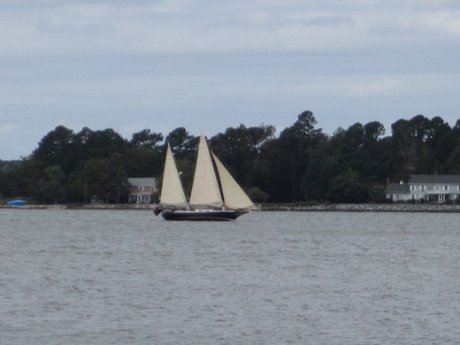 [sailing-days-3-4-0071%255B1%255D.jpg]
