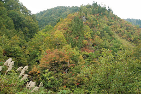 天生峠の紅葉