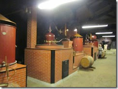 IMG_8622 IMG_8622