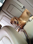 TEQUILA viajando ¡¡!!