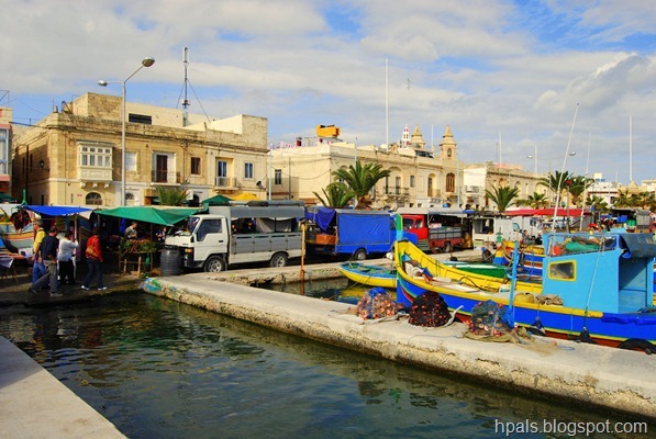 DSC_1005 DSC_1005