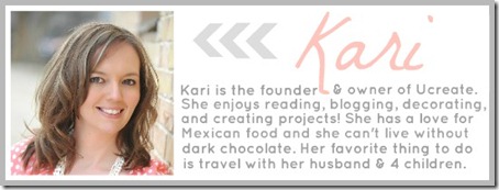 kari bio
