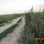 IMG_8176.JPG