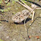 DSCN9544.JPG