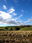 Beautiful landscape