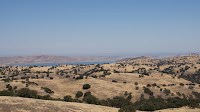 DSC02993.jpg