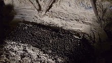 100_2803.JPG