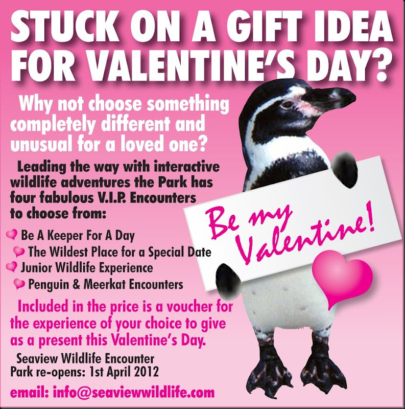 Seaview WLE Valentine ad web