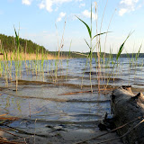 оз. Светлое 22.05.10