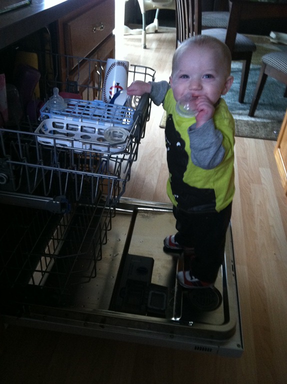 [IMG_1179%255B4%255D.jpg]