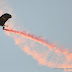 DSC_0440 (725x482) (725x482).jpg