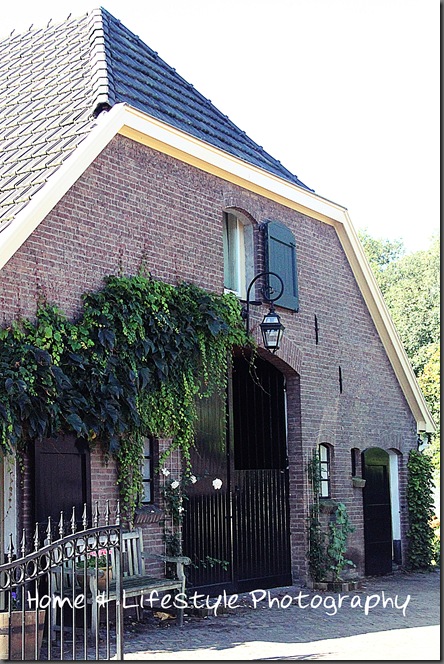 Home & Lifestyle Home & Lifestyle