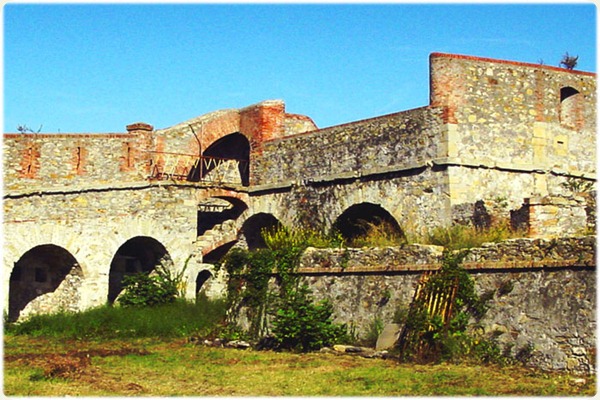 forte_tecla forte_tecla