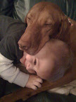 ...often neglect to address the lethality for children, companion animals... ...often neglect to address the lethality for children, companion animals...