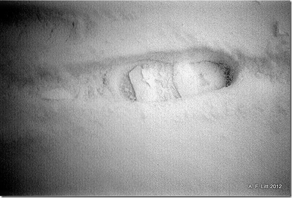 Snow.  Holly Ridge.  Gresham, Oregon.  January 16, 2007.