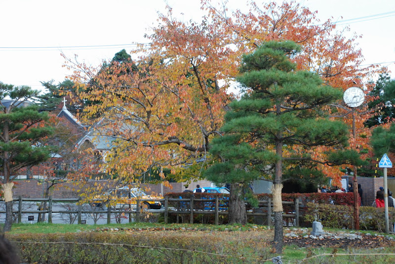 hokkaido_035.jpg