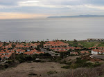 IMG_8430.JPG