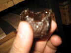 IMG_4724_512.JPG