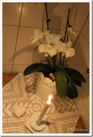 IMG_9478 IMG_9478