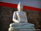 New plaster paris Buddha statue