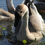 IMG_3837.jpg