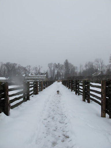 Where she would normally stay and bark at us for, what seems an eternity, she's already headed back to the comfort of home.