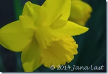 IMGP7606 IMGP7606