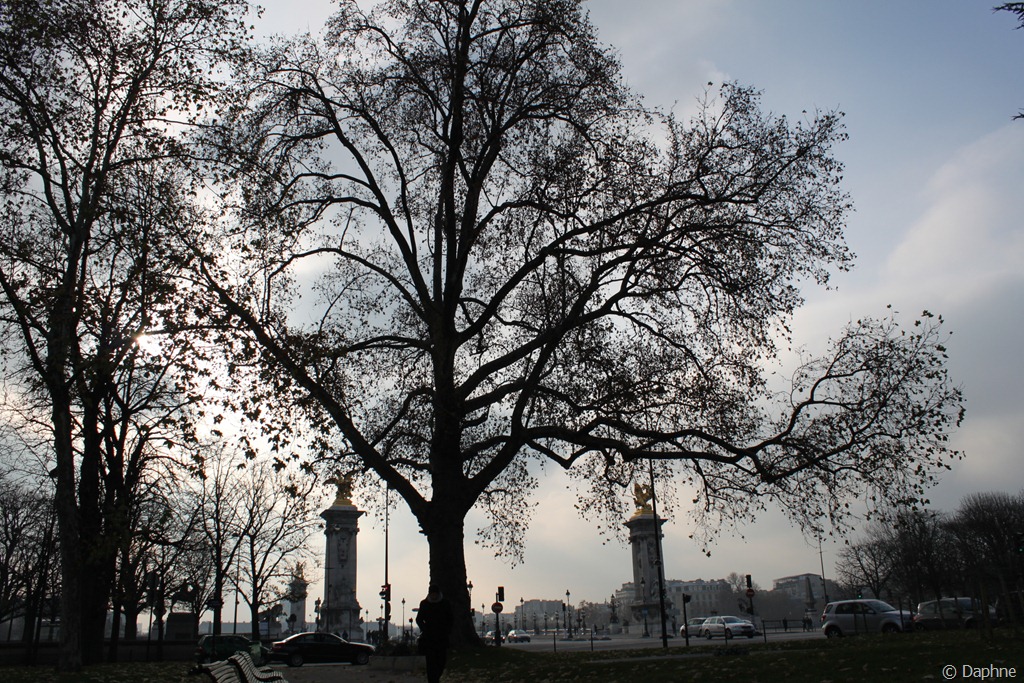 [picture%2520796%255B4%255D.jpg]