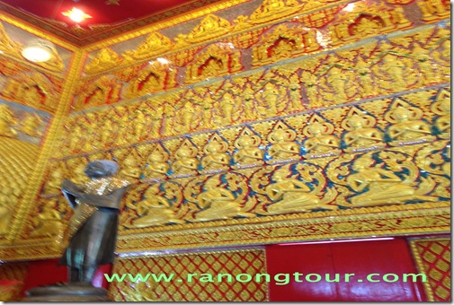IMG_11241 IMG_11241