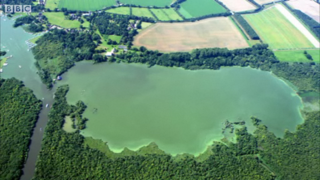 Aerial view of a blue-green algae bloom in Ranworth Broad, 31 July 2011. Mike Page / BBC