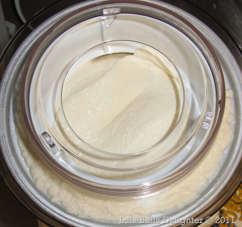 [2011%2520LBD%2520Homemade%2520Ice%2520Cream%252004%255B5%255D.jpg]