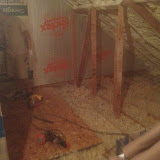 White Attic