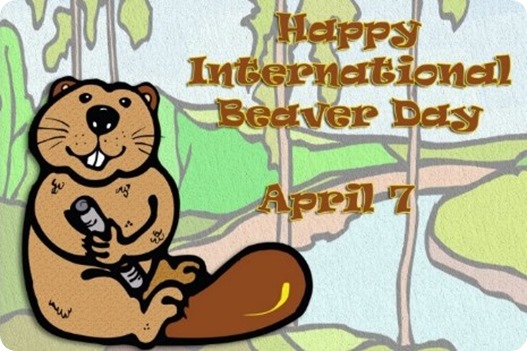 beaver day