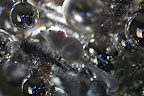 This tree must be decorated for the cats.  It's covered with little mice.
