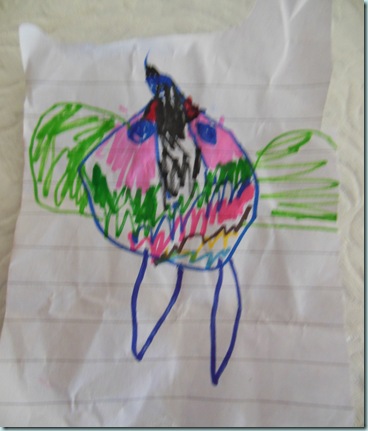 Lilians bird drawing