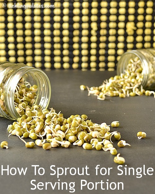 [How-to-sprout-for-single-serving-por.jpg]