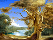 Old Tree Of Life